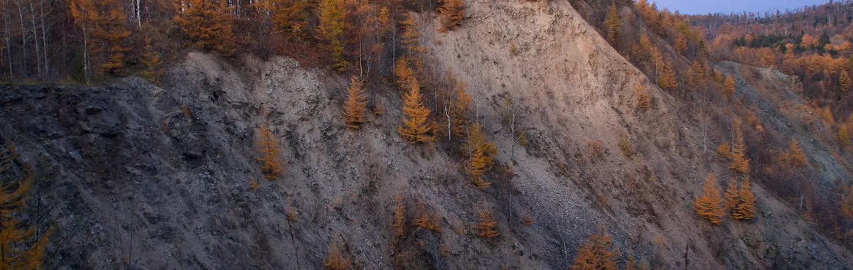 Captivating autumn landscape in Yuzhno-Sakhalinsk featuring a hillside covered with orange-hued trees.