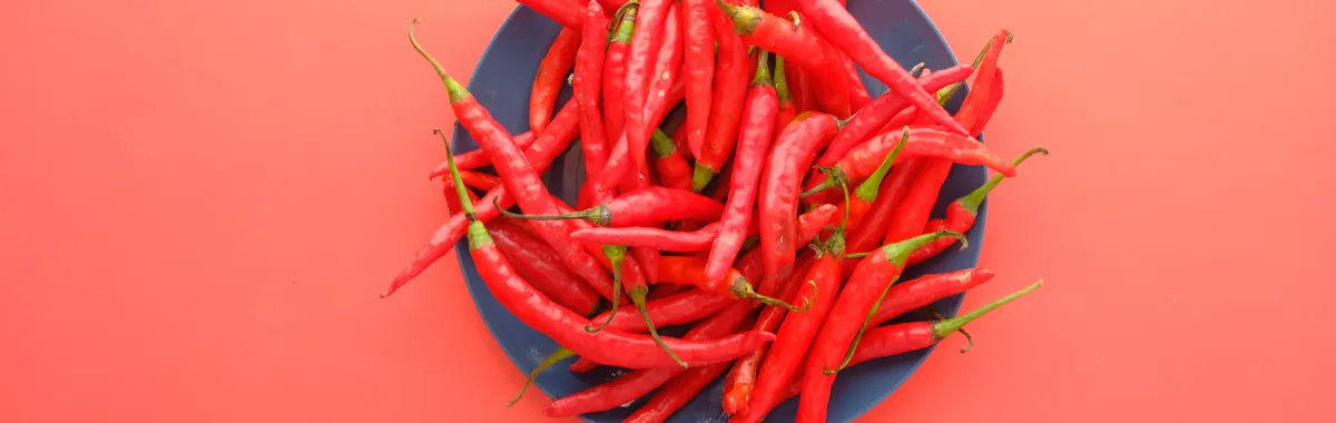 A colorful arrangement of fresh cayenne peppers on a blue plate, emphasizing their spiciness.
