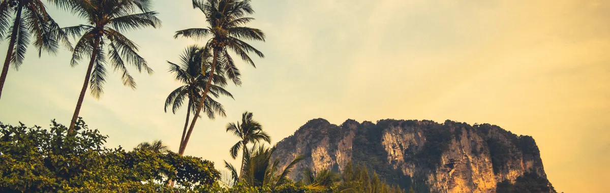 Scenic view of towering limestone cliffs and palm trees in Krabi, Thailand at sunset.