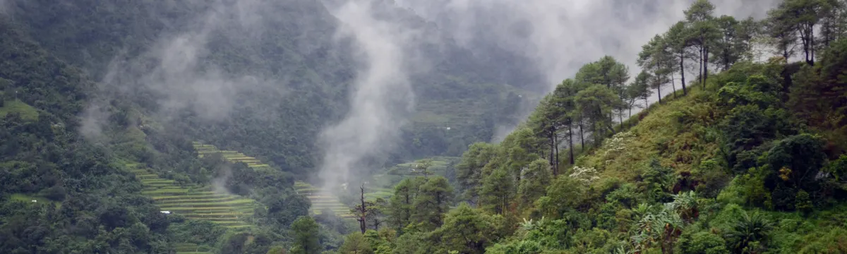 הפיליפינים: Scenic view of misty mountains and lush greenery in Kiangan, Philippines.