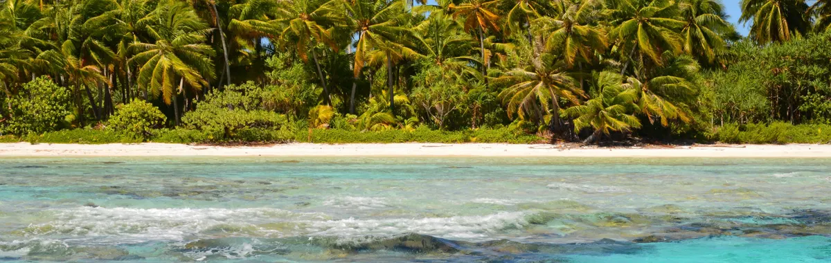 פולינזיה הצרפתית: Explore the pristine tropical beach in French Polynesia with turquoise waters and coconut palms.