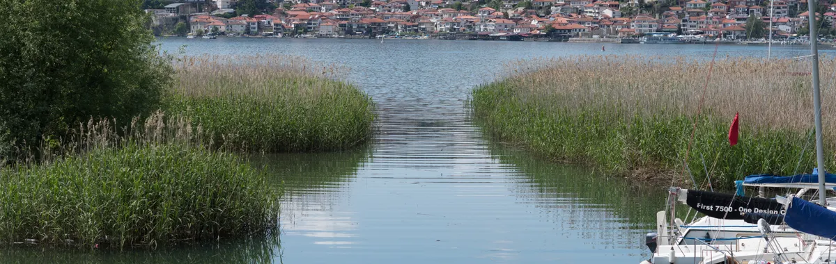Panoramic view of Ohrid Lake with lush greenery and a hilltop village in North Macedonia.