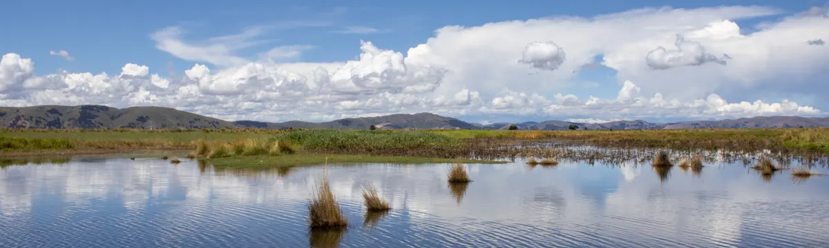 פרו: Beautiful landscape in Puno, Peru featuring a calm river and fluffy clouds under a bright blue sky.
