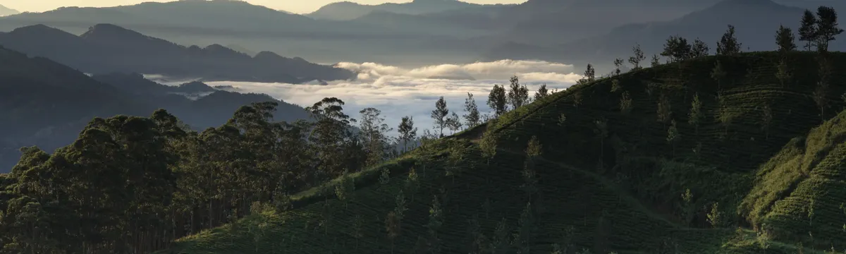 סרי לנקה: Captivating view of Mandaramnuwara in Sri Lanka with lush hills and distant misty mountains.