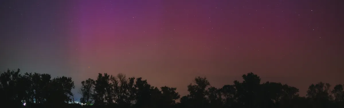 Beautiful view of an aurora borealis over a peaceful lake with silhouetted trees at night.