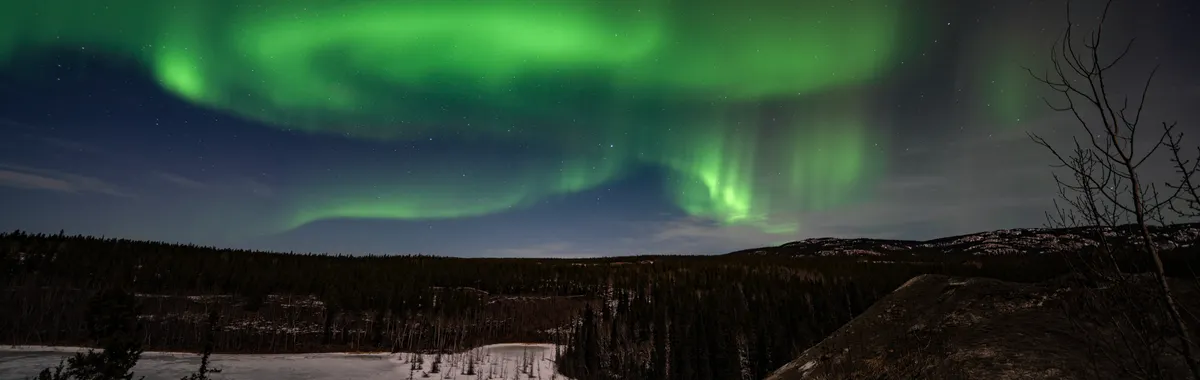 Capture the mesmerizing aurora borealis glowing brightly over Whitehorse, Yukon, Canada at night.
