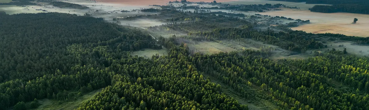 בלארוס: Aerial view of Minsk Region, Belarus showing lush forests and fields under a soft sunrise sky.