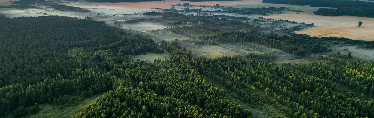 בלארוס: Aerial view of Minsk Region, Belarus showing lush forests and fields under a soft sunrise sky.