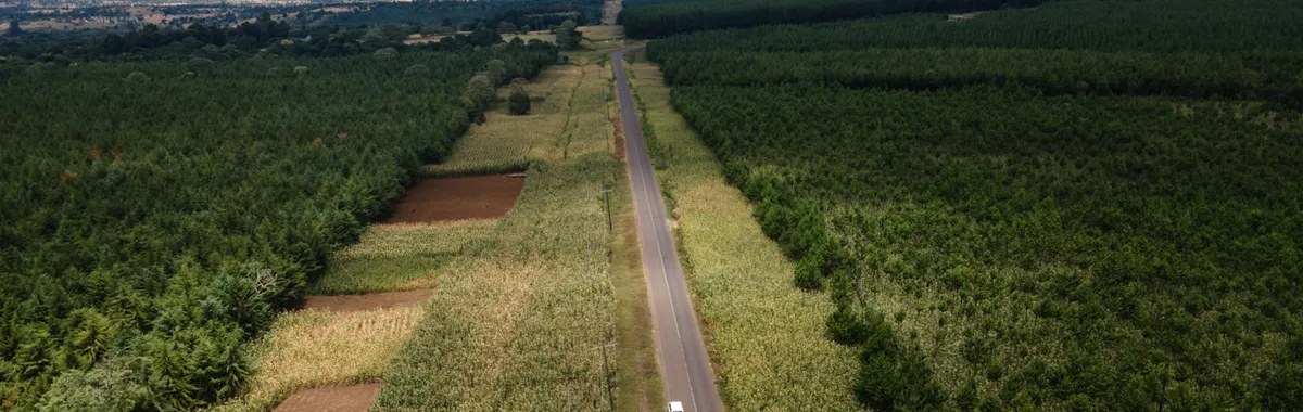 Aerial view of scenic road through lush farmland in Tarakea, Kilimanjaro Region, Tanzania.