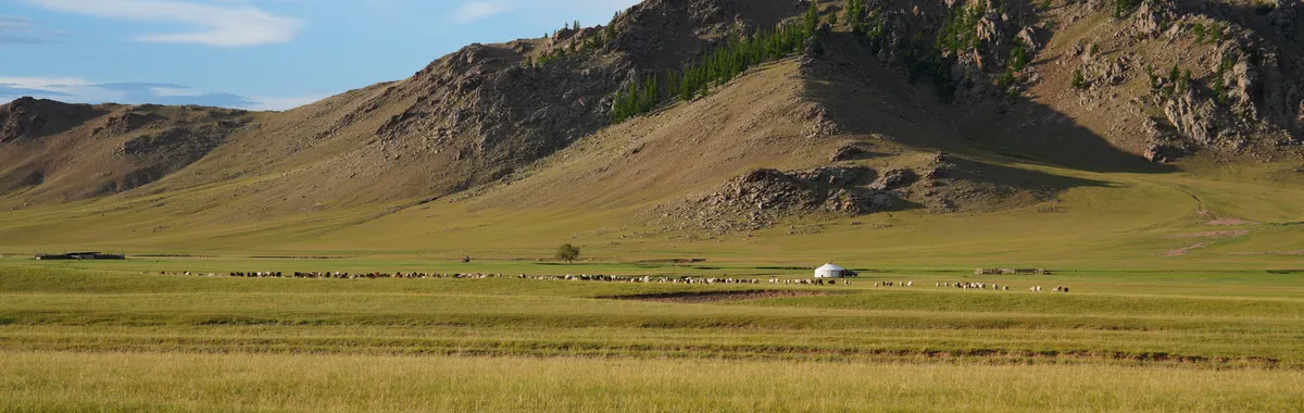 מונגוליה: A wide shot of the Mongolian steppe featuring a yurt and grazing sheep below rugged mountains.