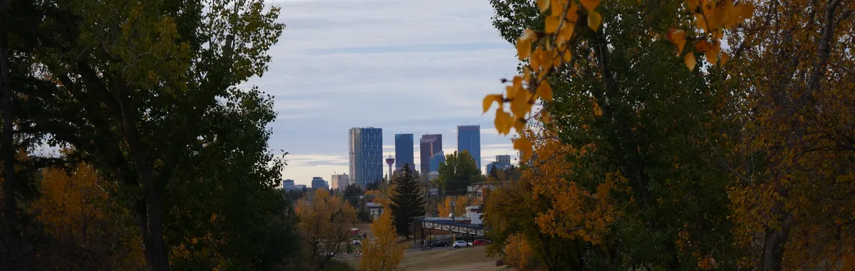 Scenic autumn view of Calgary's downtown skyline surrounded by vibrant fall foliage.