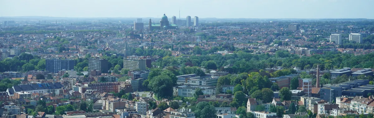Aerial view of Brussels city with iconic landmarks and lush greenery.