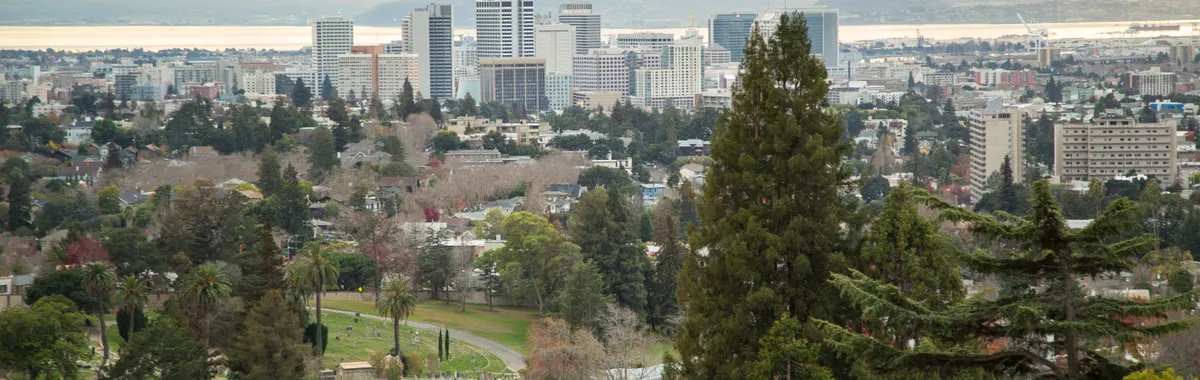 View of Oakland skyline with lush greenery and bay in the background showcasing urban nature harmony.