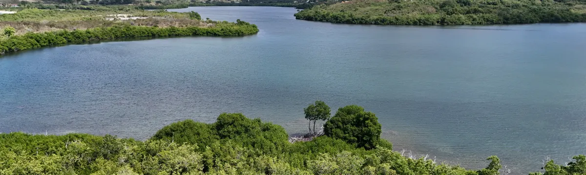 איי הבתולה של ארצות הברית: Aerial view of a tranquil lagoon surrounded by lush greenery in St. Croix, U.S. Virgin Islands.