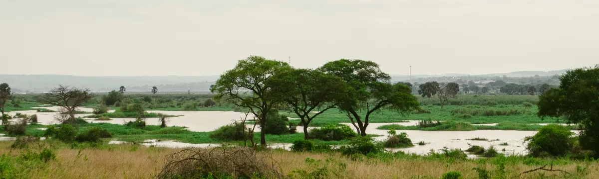 אוגנדה: Lush greenery and river view in Murchison Falls National Park, Uganda.