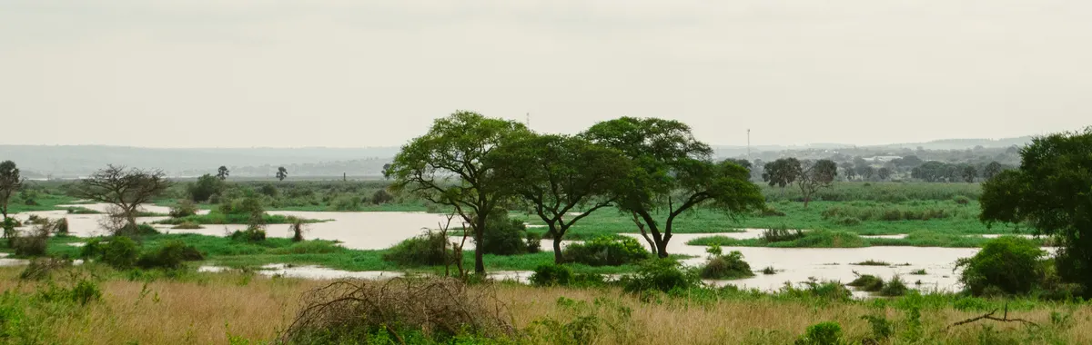אוגנדה: Lush greenery and river view in Murchison Falls National Park, Uganda.