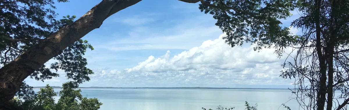 Tranquil beach scene with trees framing a serene ocean view in Darwin, Australia.