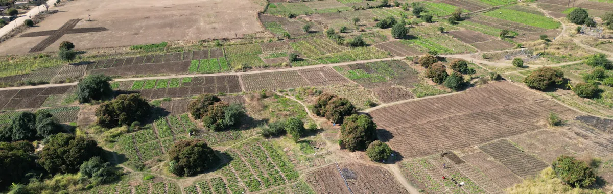 Expansive aerial view showcasing agricultural fields and rural landscape near Lilongwe, Malawi.