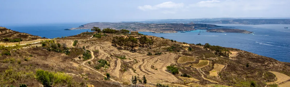 מלטה: Breathtaking view of Malta's coast and terraced fields under a clear sky.