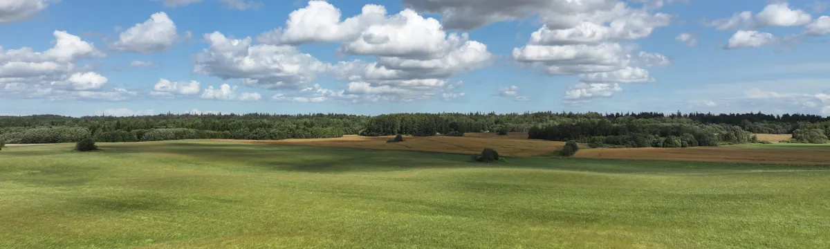 אסטוניה: Scenic view of grassy fields and blue sky with clouds in Estonia.