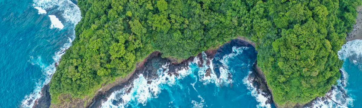 סמואה האמריקנית: Discover the vibrant coastline of American Samoa with lush forests and turquoise waters in this stunning aerial view.