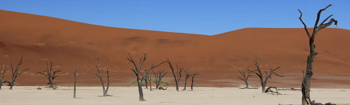 נמיביה: Breathtaking view of the arid Sossusvlei region with dead trees and red dunes in Namibia.