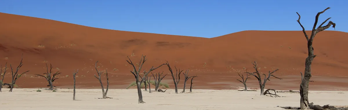 נמיביה: Breathtaking view of the arid Sossusvlei region with dead trees and red dunes in Namibia.