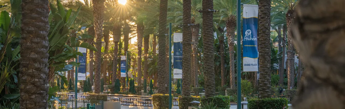 Serene sunset view at Anaheim Plaza with palm trees and lush greenery.