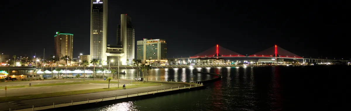 Stunning night view of Corpus Christi skyline and illuminated Harbor Bridge.