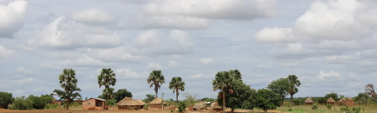 זמביה: A peaceful village scene with traditional huts and palm trees in rural Zambia under a cloud-filled sky.
