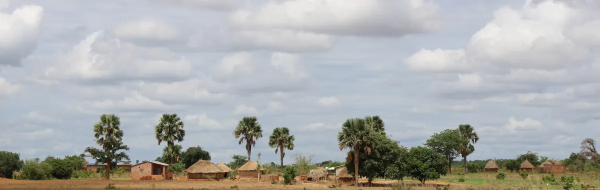 זמביה: A peaceful village scene with traditional huts and palm trees in rural Zambia under a cloud-filled sky.