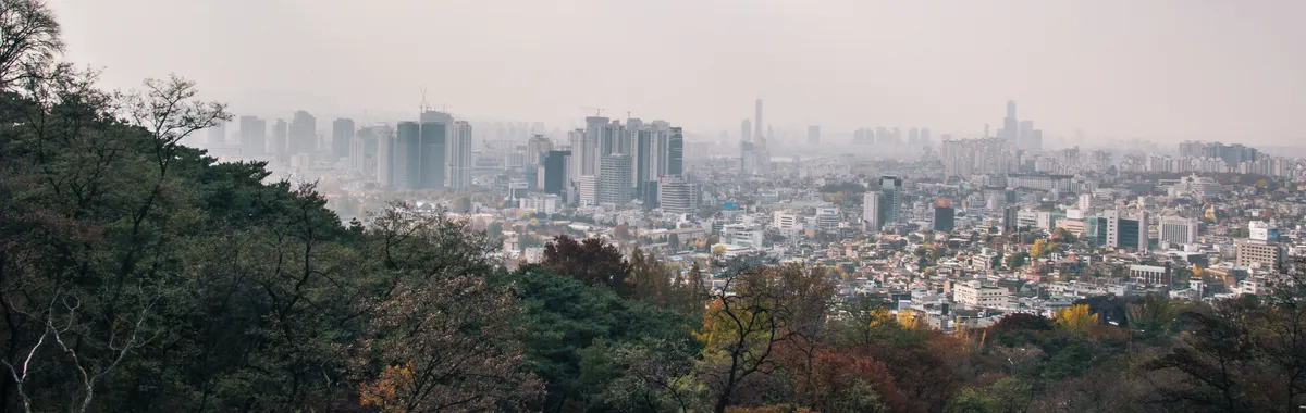 Panoramic view of Seoul's skyline shrouded in fog, framed by lush autumn foliage.