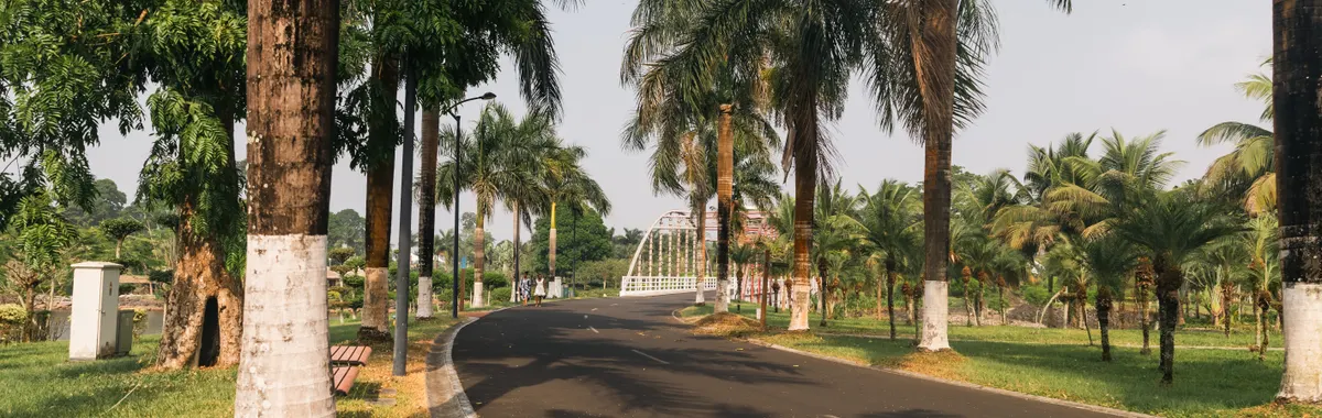 גינאה המשוונית: Peaceful road lined with palm trees in Malabo, Equatorial Guinea.