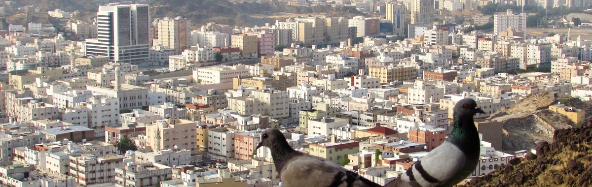 Two pigeons perched with a panoramic view of Makkah, Saudi Arabia, cityscape and mountains.