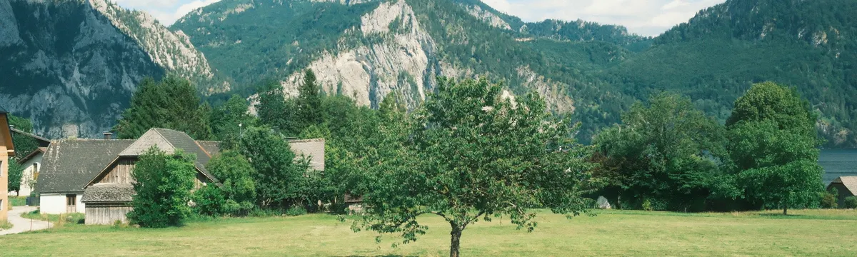 אוסטריה: Serene landscape in Upper Austria featuring a lone tree, rustic buildings, and majestic mountains under a blue sky.
