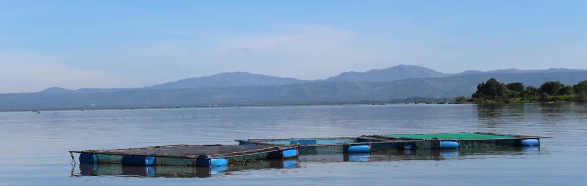 Floating fish cages on serene Lake Victoria with scenic mountain backdrop in Kisumu, Kenya.