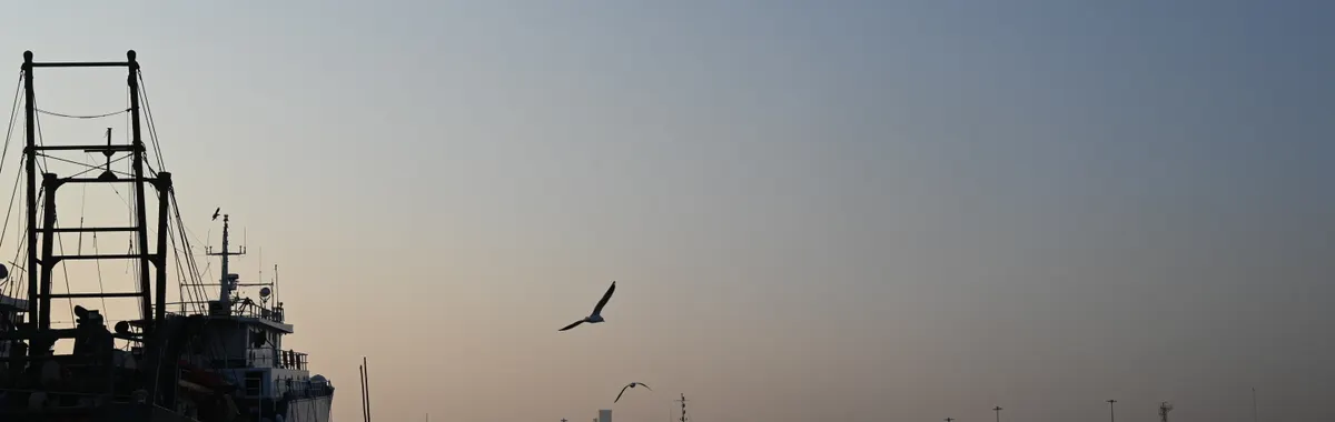 Fishing boats and seagulls at sunset in Chattogram Harbor, Bangladesh.