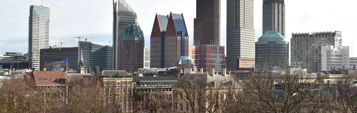 The Hague city skyline featuring modern skyscrapers and urban architecture in winter.