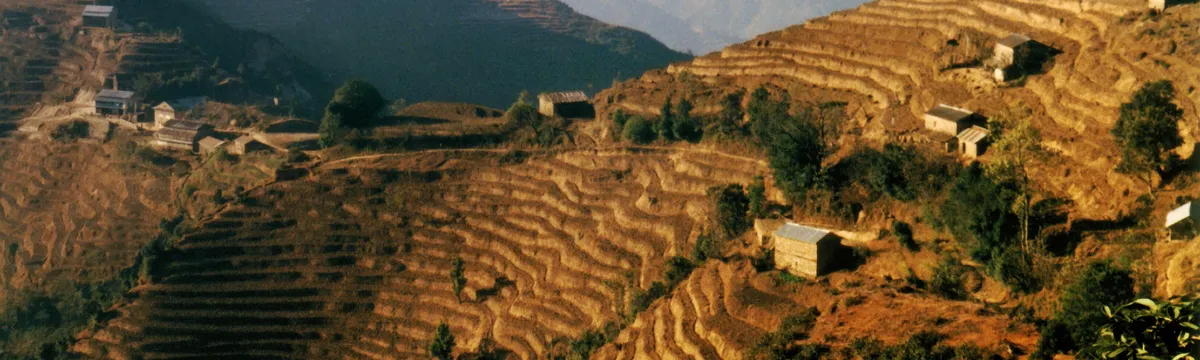 נפאל: A breathtaking view of rice terraces in rural Nepal, showcasing natural beauty and traditional agriculture.