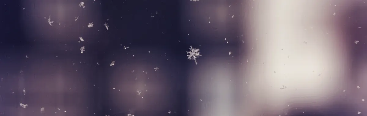 Close-up of falling snowflakes captured during winter in Moncton, NB with a blurred background.